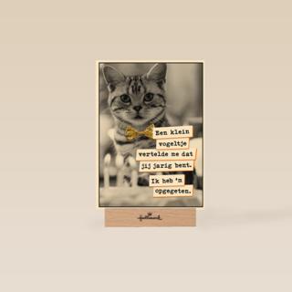 Vogel Poes  verjaardag