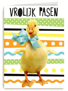 vrolijk paaskuiken