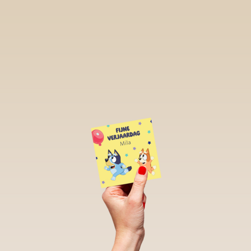 Bluey Bingo Fijne Verjaardag