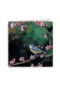 ombouw vogeltje op tak