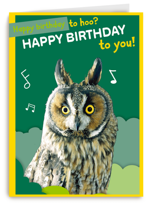 Happy Birthday to hoo