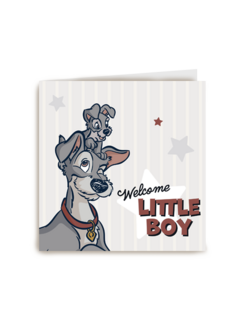 welcome little boy met kleine rakker