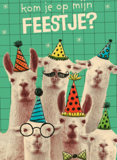 kom jij op mijn lamafeestje