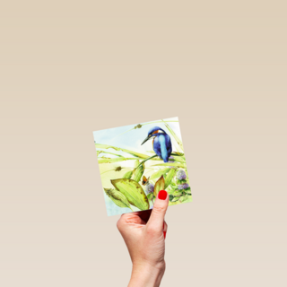 een prachtige ijsvogel