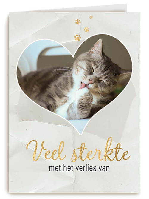 Fotokaart veel sterkte met verlies kat