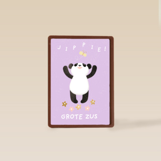 geboorte zusje jippie grote zus