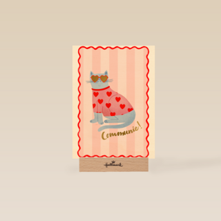 Communie coole lieve kat