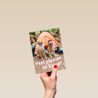 Op kamp kaart 2 honden bij tent