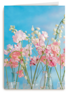 bloemen lucht