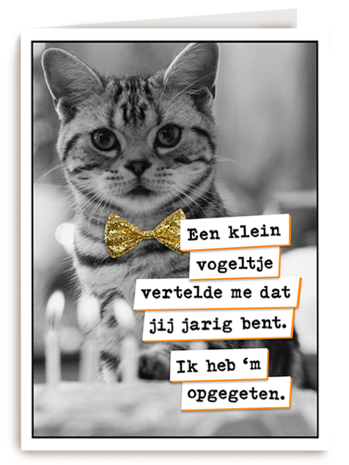 Vogel Poes  verjaardag