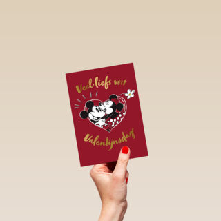 Valentijn Mickey Minnie Veel Liefst