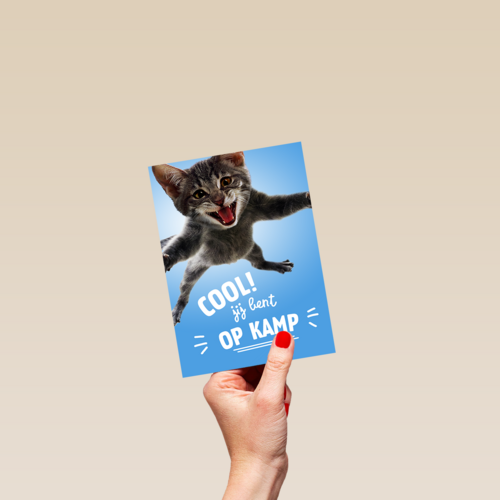 Cool Jij Bent Op Kamp Kat