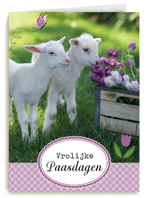 lammetje bloem pasen