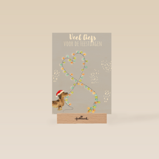 kerstkaart met hond en kerstverlichting