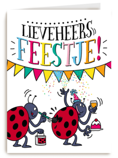 verjaardagskaart lieveheersfeestje