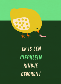 Geboortefelicitatie piepklein kindje geboren