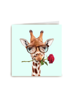 liefdeskaart grappig Giraffe met roos