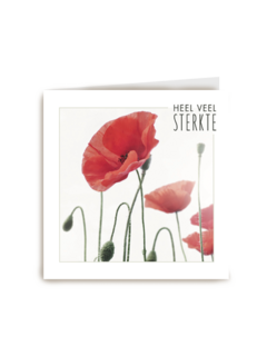 sterkte heel veel sterkte nu