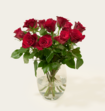 Brievenbusbloemen Rozen Rood