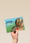 animal fiesta jarige zie ik het nu goed