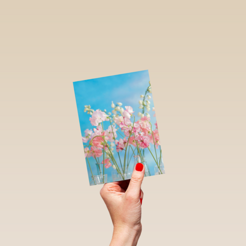 bloemen lucht