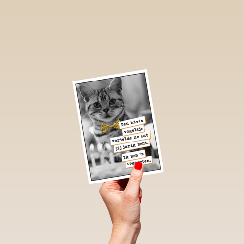 Vogel Poes  verjaardag