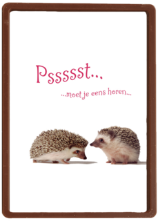 egels praten met elkaar