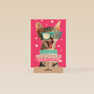 gefeliciteerd van deze coole kat