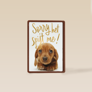 verjaardag te laat sorry het spijt me puppy