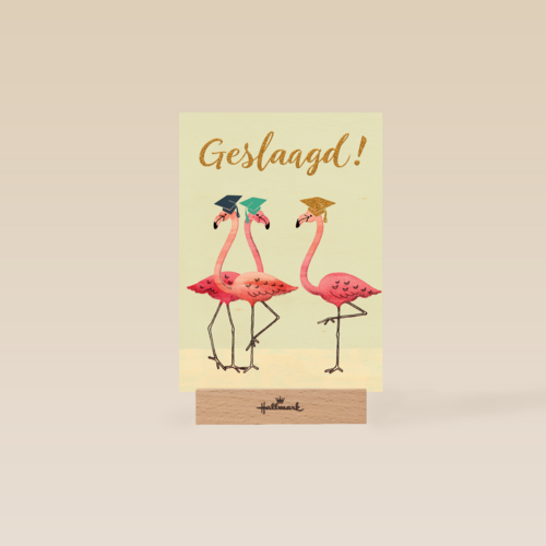Flamingo geslaagd