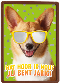 wat een coole hond voor je verjaardag
