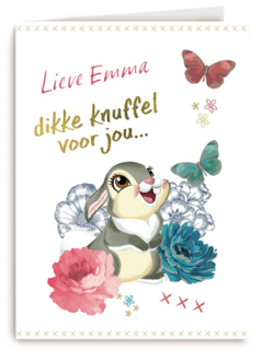 disney adult dikke knuffel voor jou