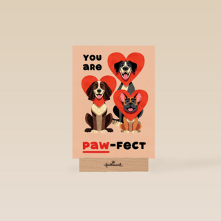 Folio You Are Pawfect