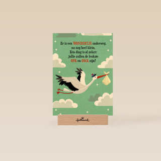 Zwangerschap leukste opa en oma ooievaar