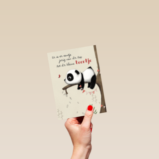 panda kaart van dr top tot dr kleine teentje