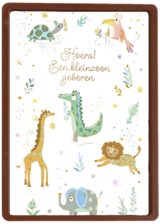 Turnowsky Hoera Kleinzoon geboren