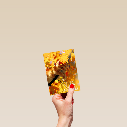 herfst kaart dikke herfst knuffel