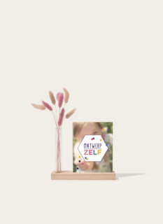 Brievenbuspakket Droogpluimen Kaarthouder Roze Beige