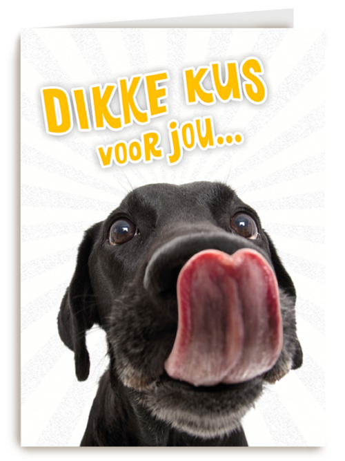 Beterschapskaart Lieve hond Dikke kus voor jou