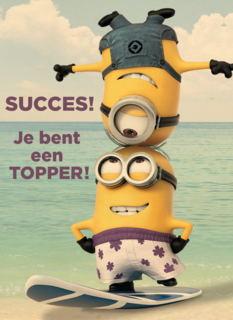 minions succes je bent een topper