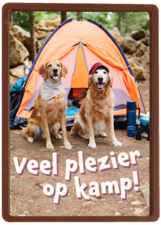 Op kamp kaart 2 honden bij tent Op kamp kaart 2 honden bij tent