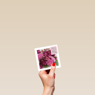 veel roze bloemen