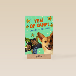 Op kamp corgi