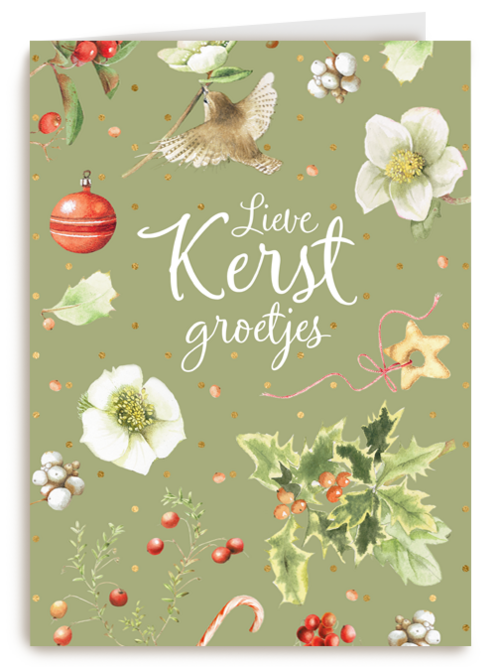 kerstkaart marjolein bastin lieve kerst groetjes vogeltje