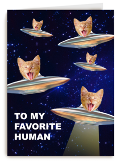 To my favorite human