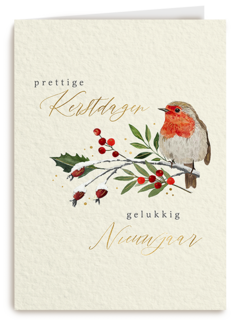 Fijne kerstdagen roodborstje