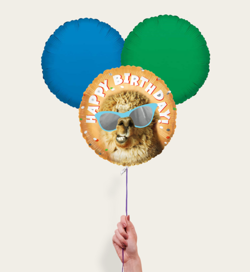 Ballonnentros Happy Birthday Lama Oranje