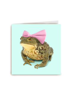 kikkerprinses