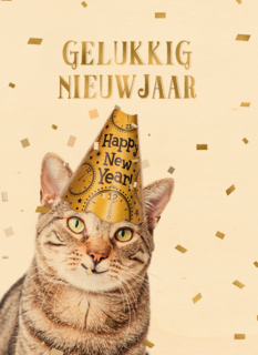 nieuwjaar kaart kat gelukkig nieuwjaar