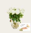 Brievenbusbloemen Rozen Wit